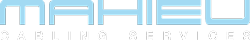 Logo Mahieu Cabling Services